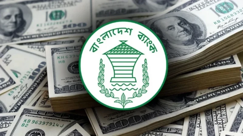 দুই মাসে প্রবাসী আয়ে প্রবৃদ্ধি ১৮ শতাংশ আগস্টে এলো ২৪২ কোটি ডলার ।। জুনে এসেছিল প্রায় ২৪৮ কোটি ডলার