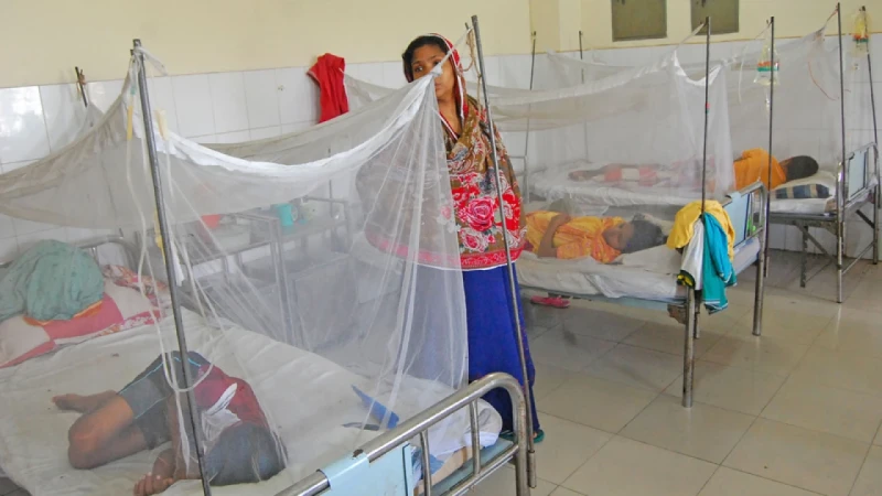 ডেঙ্গু নিয়ে হাসপাতালে ৫৯৩, তিনজনের মৃত্যু