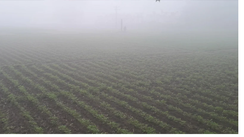 পঞ্চগড়ে ৬ দিন ধরে দেশের সর্বনিম্ন তাপমাত্রার রেকর্ড